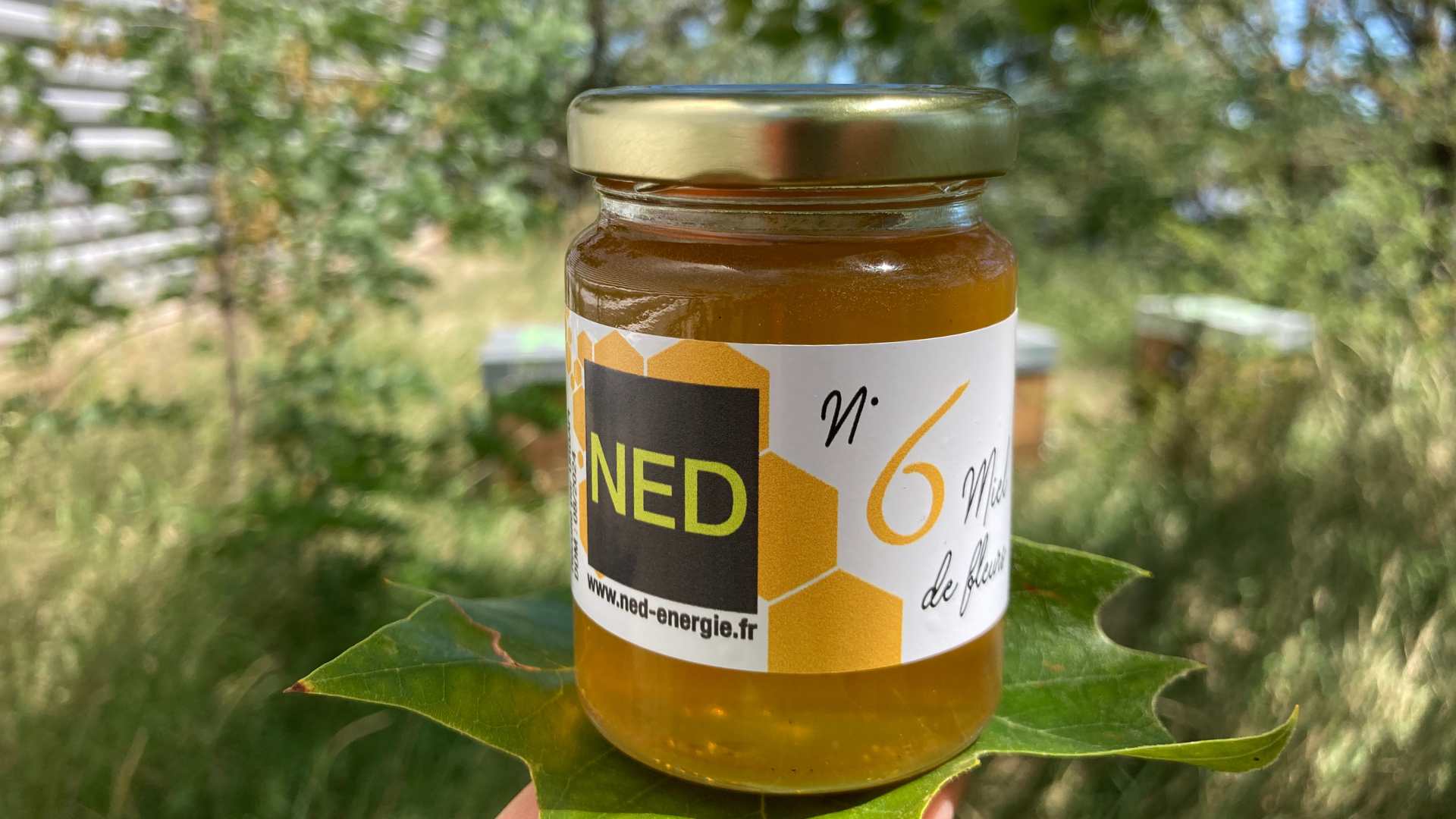 La récolte n°6 du miel NED est prête !!