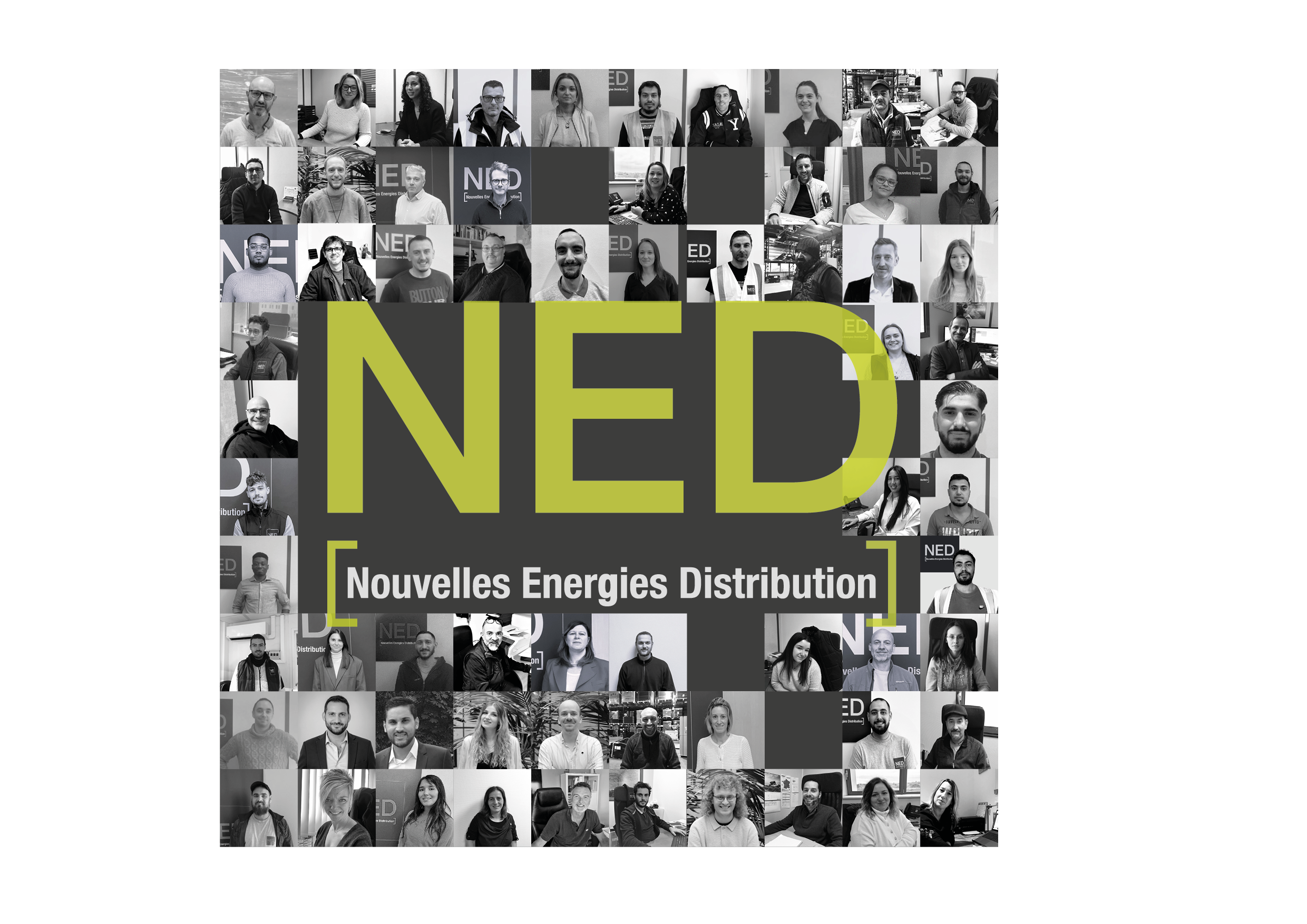 NED MEMBRES