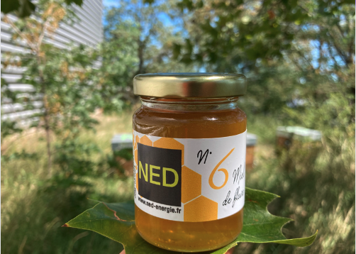 La récolte n°6 du miel NED est prête !!