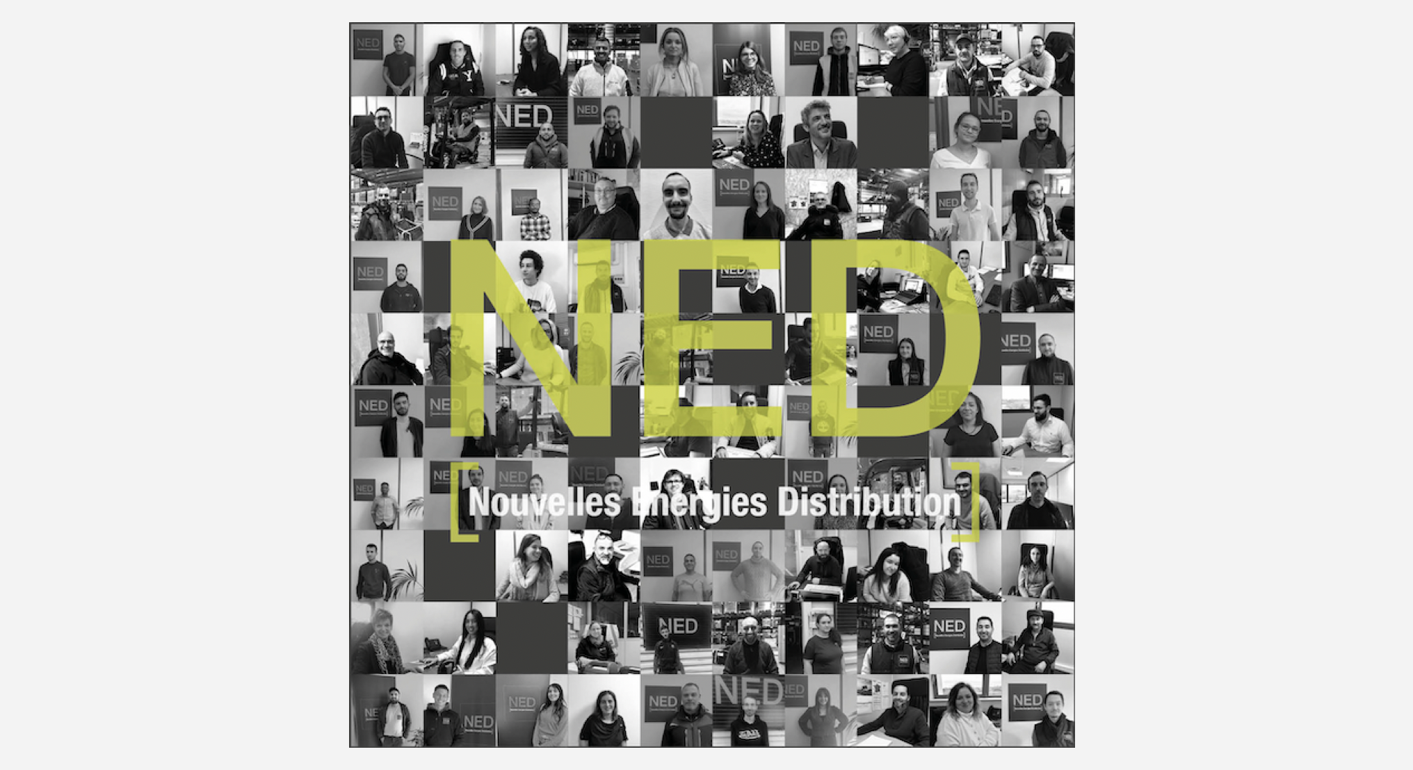 NED MEMBRES
